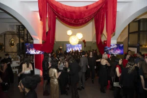 Soirée à Thème